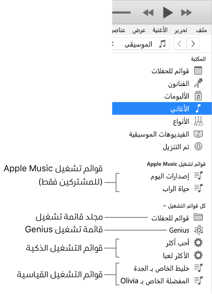 يعرض الشريط الجانبي لـ iTunes أنواعًا متنوعة من قوائم التشغيل: Apple Music (المشتركون فقط) وقوائم تشغيل Genius وقوائم التشغيل الذكية والقياسية، بالإضافة إلى مجلد قائمة التشغيل.