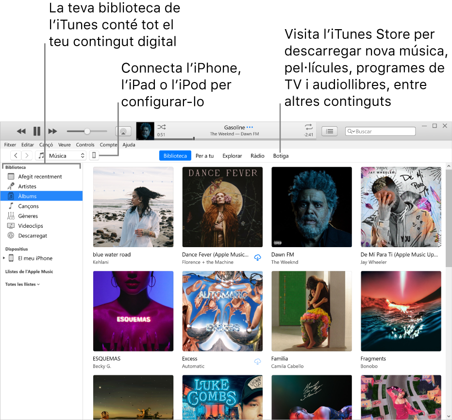 Visualització de la finestra de l’iTunes: La finestra de l’iTunes té dos taulers. A l’esquerra hi ha la barra lateral Biblioteca, on es troben tots els teus continguts digitals. A la dreta, a l’àrea de continguts més gran, es pot veure una selecció d’allò que t’interessa; per exemple, anar a la biblioteca o a la pàgina “Per a tu”, explorar música i vídeos nous a l’iTunes o visitar l’iTunes Store per descarregar música, pel·lícules, programes de TV, audiollibres, etc. A la part superior dreta de la barra lateral Biblioteca hi ha el botó Dispositiu, que mostra si has connectat l’iPhone, l’iPad o l’iPod al PC.