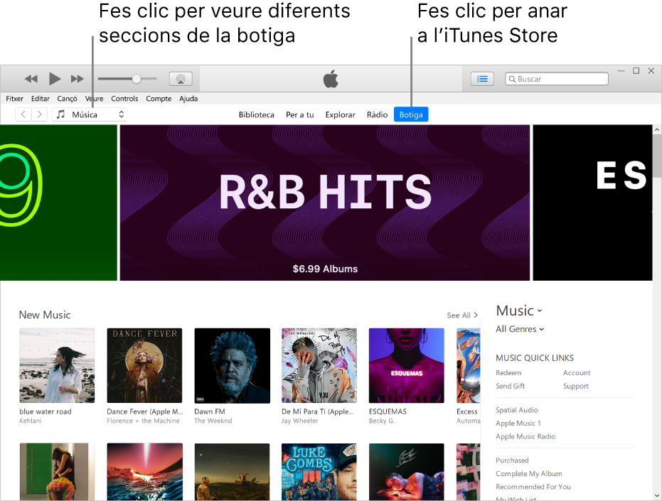 Finestra principal de l’iTunes Store: La botiga està ressaltada a la barra de navegació. Fes clic a la cantonada superior esquerra per veure els diferents continguts de la botiga (com ara Música o TV).