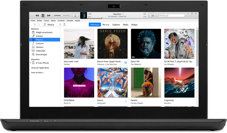 La finestra de l’iTunes amb una biblioteca de diversos àlbums.