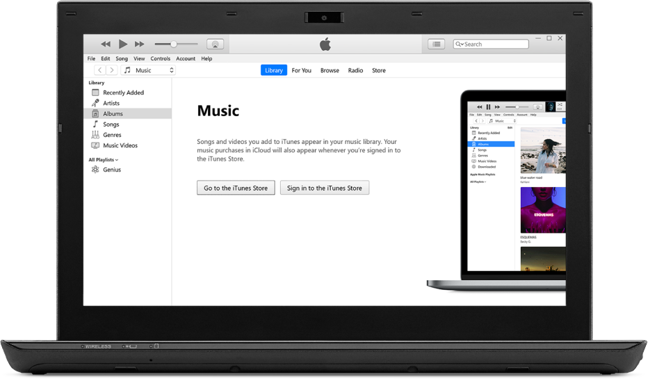 Play songs in iTunes on PC - Apple Support