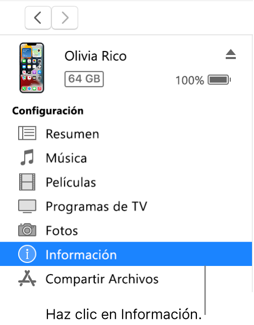 La ventana Dispositivo con la opción Información seleccionada en la barra lateral de la izquierda.
