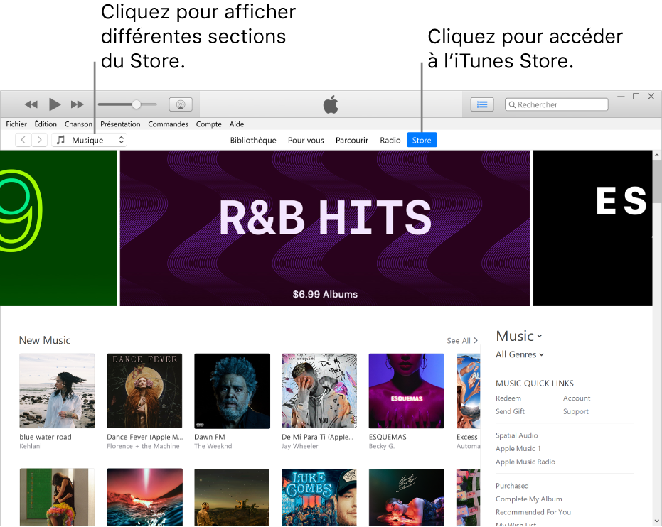 La fenêtre principale de l’iTunes Store : Dans la barre de navigation, Store est surligné. Dans le coin supérieur gauche, choisissez de voir différents contenus dans l’iTunes Store (par exemple Musique ou Émissions de télévision).