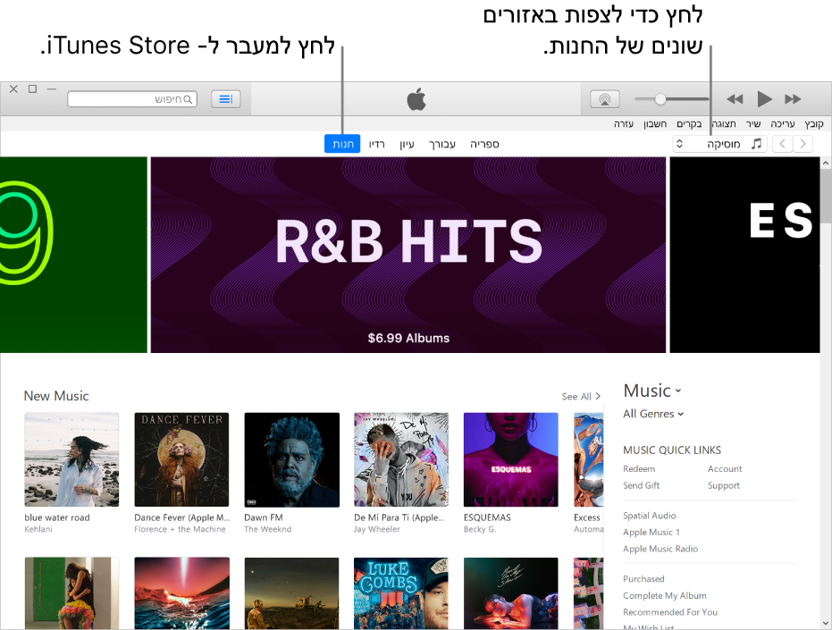 החלון הראשי של iTunes Store: בסרגל הניווט, האפשרות Store מודגשת. בפינה השמאלית העליונה, בחר להציג תוכן שונה ב‑Store (למשל ״מוזיקה״ או ״תכניות טלוויזיה״).