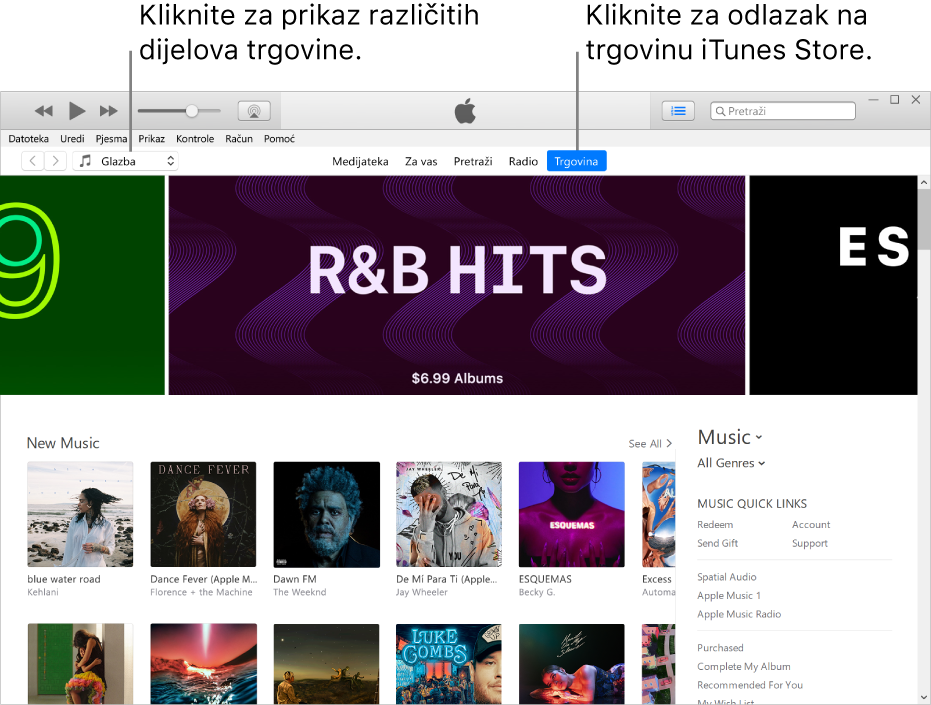 Glavni prozor trgovine iTunes Store: U navigacijskoj traci Trgovina je istaknuta. U gornjem lijevom kutu odaberite prikaz drugog sadržaja u Trgovini (kao što je Glazba ili TV).