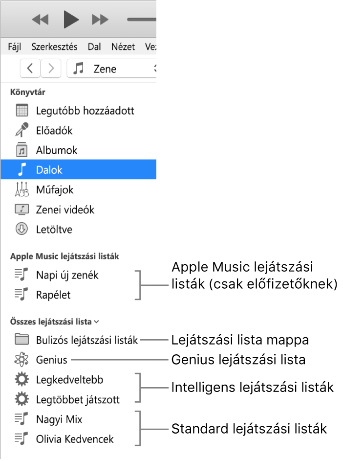 Különböző típusú lejátszási listákat megjelenítő iTunes oldalsáv. Apple Music (csak előfizetők), Genius, Intelligens és általános lejátszási listák és a lejátszási lista mappája.