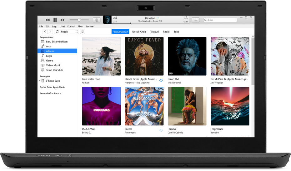 Jendela iTunes dengan perpustakaan yang berisi beberapa album.