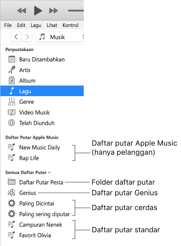 Bar samping iTunes menampilkan berbagai jenis daftar putar: Daftar putar Apple Music (khusus pelanggan), Genius, Cerdas, dan standar, serta folder daftar putar.