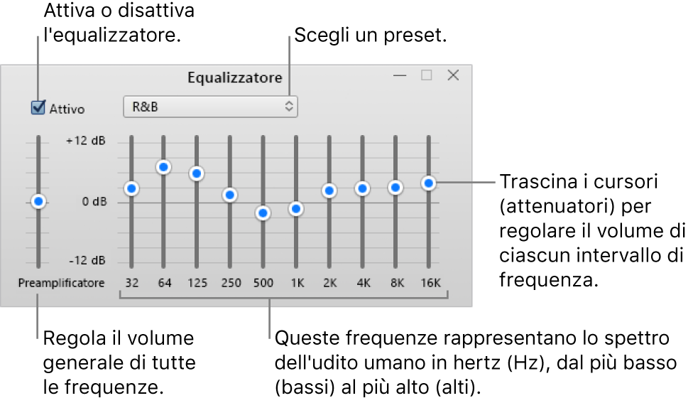 Finestra Equalizzatore: la casella di controllo per attivare l’equalizzatore di iTunes si trova nell’angolo superiore sinistro. Accanto è presente il menu di scelta rapida con i preset dell’equalizzatore. All’estrema sinistra, regola il volume globale delle frequenze con il preamplificatore. Sotto i preset dell’equalizzatore, regola i livelli sonori di diversi intervalli di frequenze che rappresentano lo spettro dell’udito umano, da quelli più bassi a quelle più alti.