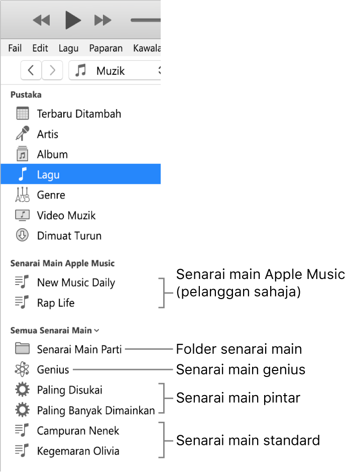 Bar sisi iTunes menunjukkan pelbagai jenis senarai main: Senarai main Apple Music (pelanggan sahaja), Genius, Pintar dan standard, serta folder senarai main.
