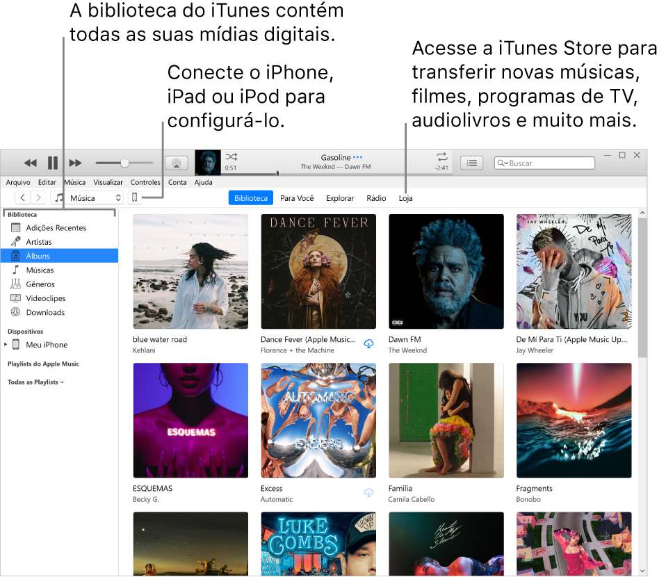 Visualização da janela do iTunes: A janela do iTunes tem dois painéis. No lado esquerdo está a barra lateral Biblioteca, que contém todas as mídias digitais. No lado direito, na área maior, é exibida uma seleção do que você tem interesse, por exemplo: visite a biblioteca ou a página Para Você, explore novas músicas e vídeos iTunes ou visite a iTunes Store para baixar novas músicas, filmes, programas de TV, audiolivros e outros. No canto superior direito da barra lateral Biblioteca está o botão Dispositivo, que mostra se o iPhone, iPad ou iPod estão conectados ao PC.