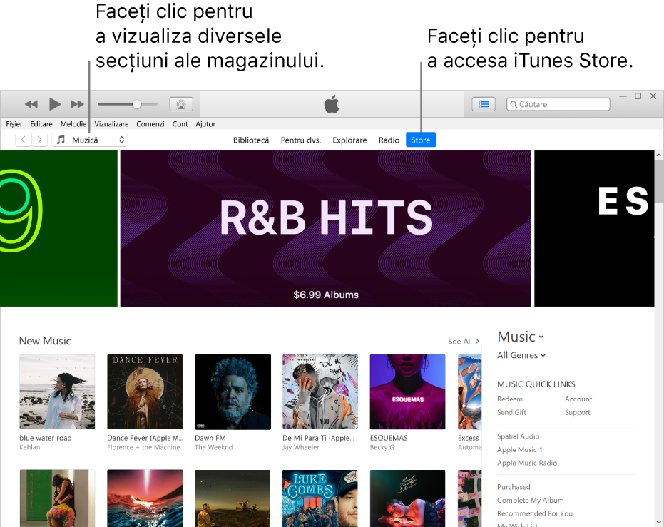 Fereastra principală iTunes Store: În bara de navigare, este evidențiat Store. În colțul din stânga sus, alegeți să vizualizați diferite tipuri de conținut în Store (cum ar fi Muzică sau Emisiuni TV).