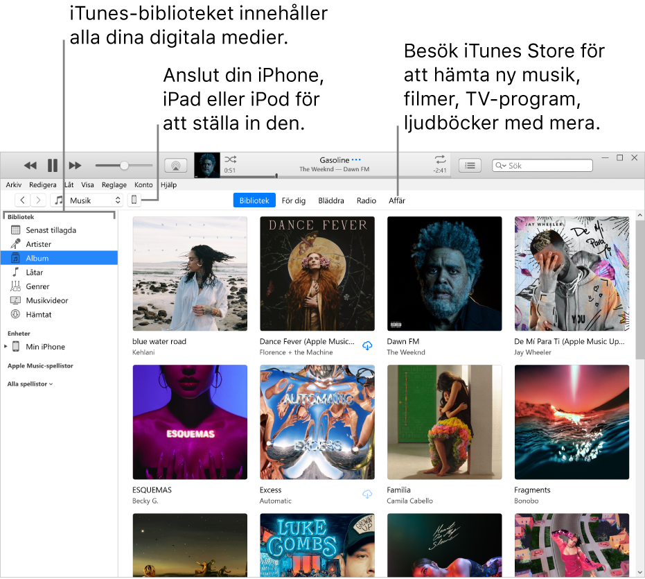 Vy över iTunes-fönstret: iTunes-fönstret har två paneler. Till vänster finns bibliotekssidofältet som innehåller alla dina digitala medier. Till höger finns ett större innehållsområde. Där kan du visa en samling du är intresserad av – t.ex. besöka ditt bibliotek eller sidan För dig, bläddra bland ny musik och video i iTunes, eller besöka iTunes Store och hämta ny musik, nya filmer, TV-program, ljudböcker med mera. Uppe till höger i bibliotekssidofältet finns enhetsknappen som visar att din iPhone, iPad eller iPod är ansluten till datorn.