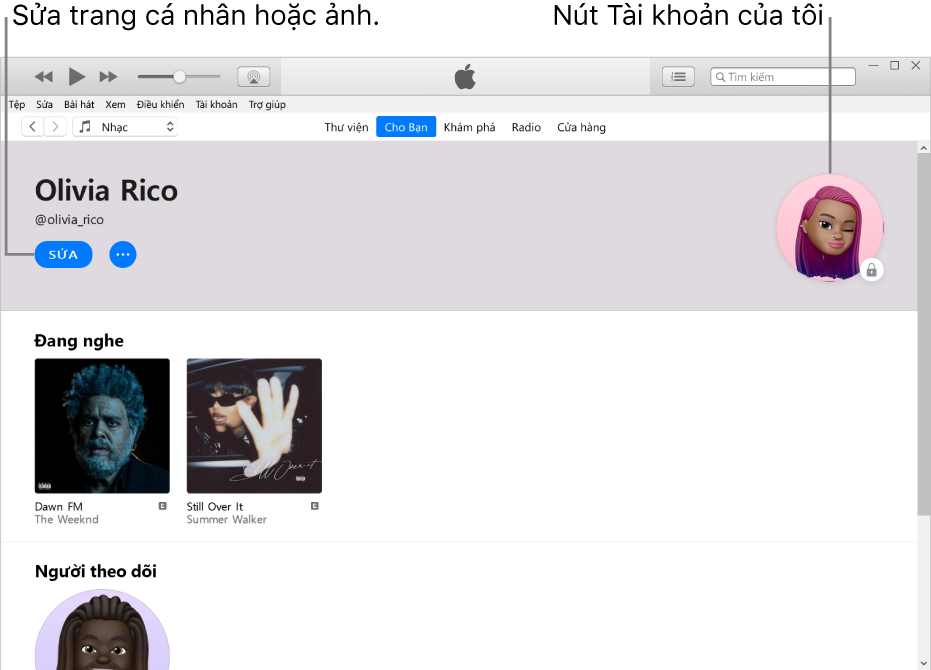 Trang trang cá nhân trên Apple Music: Trong góc trên cùng bên trái bên dưới tên của bạn, bấm vào Sửa để sửa trang cá nhân hoặc ảnh của bạn. Trong góc trên cùng bên phải là nút Tài khoản của tôi.