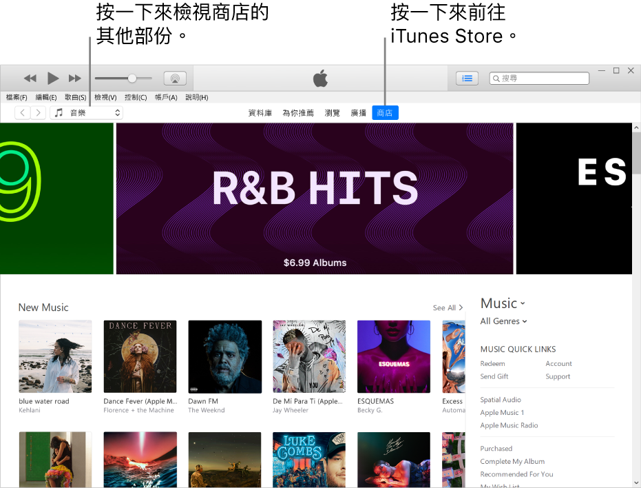 iTunes Store 主視窗：在導覽列中，「商店」已反白標示。在左上角，選擇以在「商店」中檢視不同內容（例如「音樂」或「電視」）。
