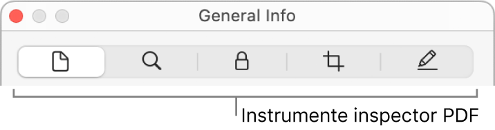 Instrumentele inspectorului PDF.