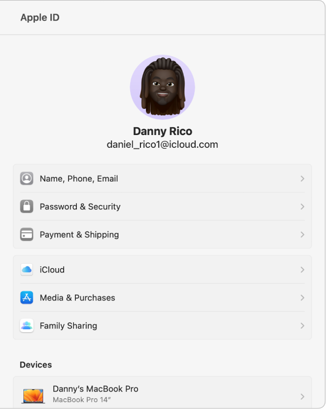 Nastavení Apple ID s obrázkem uživatele Apple ID a názvem v horní části; níže volby pro různé typy účtů, které lze nastavit a používat