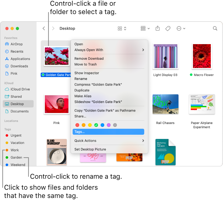 A Finder window containing tagged files and folders, with a file selected. In the shortcut menu, there are colour choices for tags and Tags is highlighted.