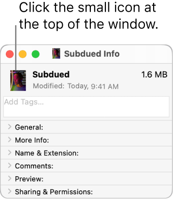 The Info window for a folder, showing a picture on the icon.