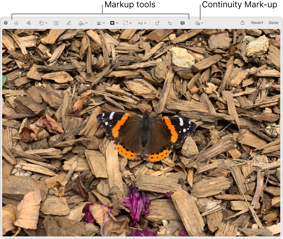 An image in the Markup window showing the toolbar of Markup tools and the tool to click to use Continuity Markup on a nearby iPhone or iPad.
