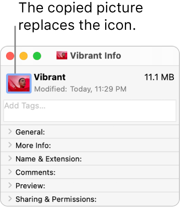 The Info window for a folder, showing the generic icon replaced by a picture.