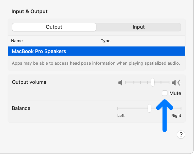 The Mute checkbox in the Output pane of Sound settings.