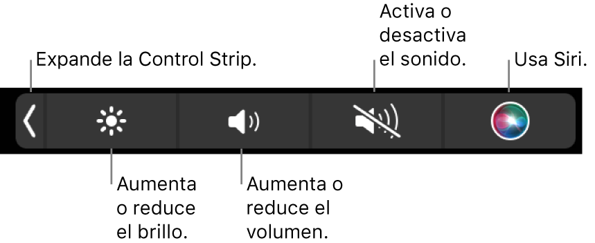 Los botones incluidos en la Control Strip contraída, de izquierda a derecha, para expandir la Control Strip, aumentar o reducir el brillo de la pantalla y el volumen, activar o desactivar el sonido, y usar Siri.