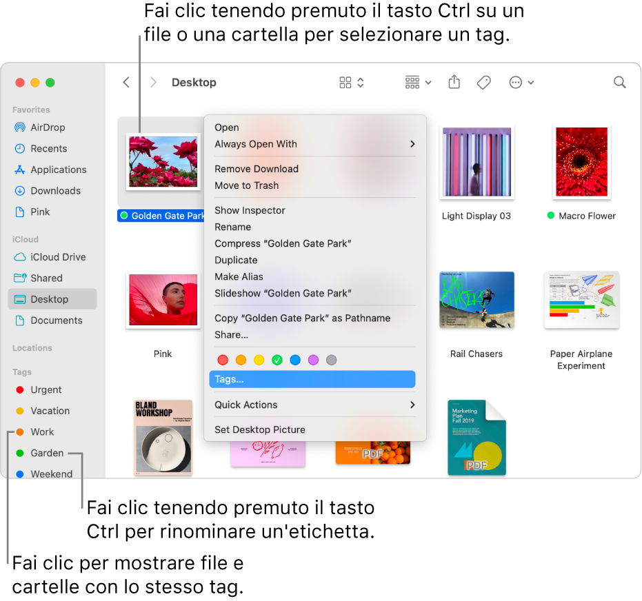 Una finestra del Finder con file e cartelle con tag e un file selezionato. Nel menu delle abbreviazioni, ci sono tag di vari colori ed è evidenziata la parola Tag.