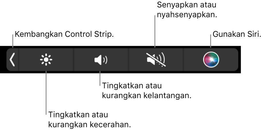 Control Strip yang diruntuhkan termasuk butang—dari kiri ke kanan—untuk mengembangkan Control Strip, meningkatkan atau mengurangkan kecerahan dan kelantangan, senyapkan atau nyahsenyapkan serta menggunakan Siri.