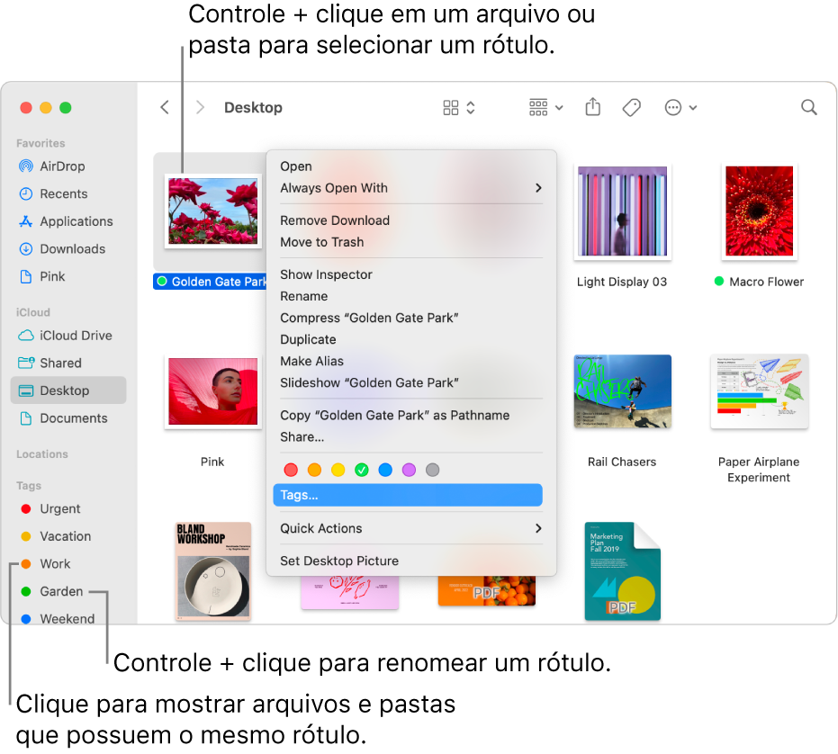 Janela do Finder contendo arquivos e pastas etiquetados, com um arquivo selecionado. No menu de atalho, há opções de cores para etiquetas e Etiquetas está destacado.