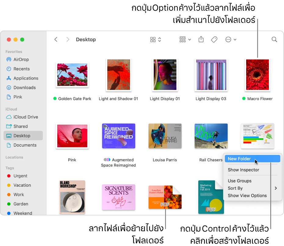 หน้าต่าง Finder ที่มีไฟล์และโฟลเดอร์ ในเมนูปุ่มลัด โฟลเดอร์ใหม่ถูกไฮไลท์อยู่
