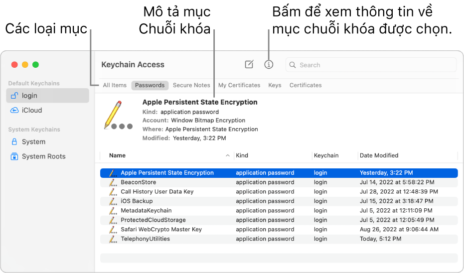 Cửa sổ Truy cập chuỗi khóa đang hiển thị các chuỗi khóa trong thanh bên. Một mô tả về mật khẩu chuỗi khóa đăng nhập đã chọn được hiển thị ở bên phải.