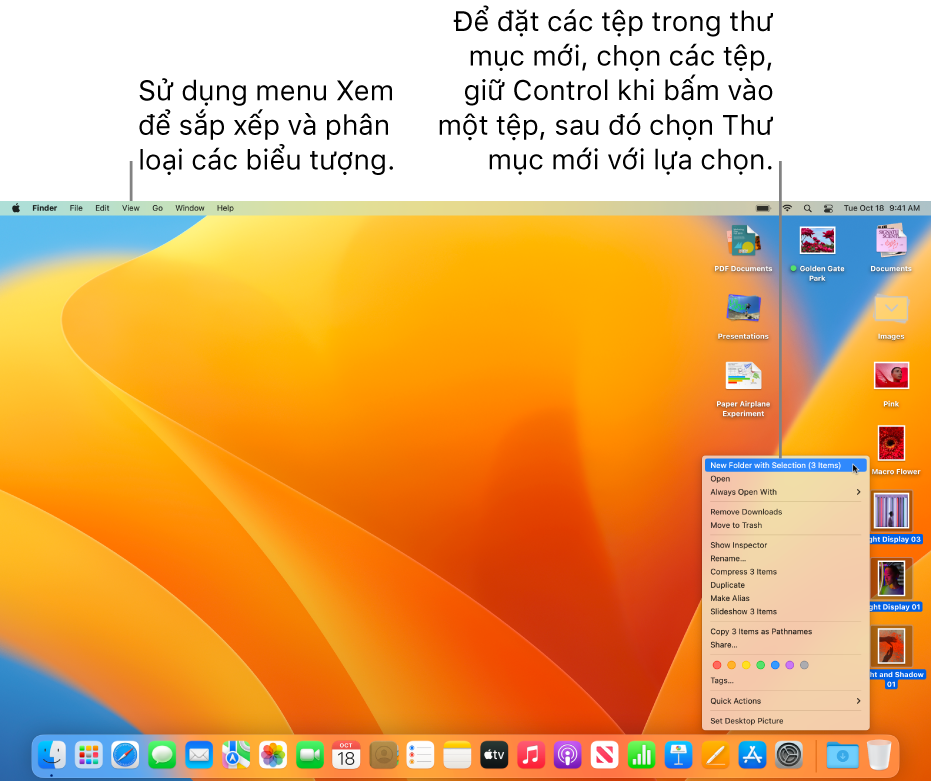 Bộ phận hỗ trợ của Apple (VN)