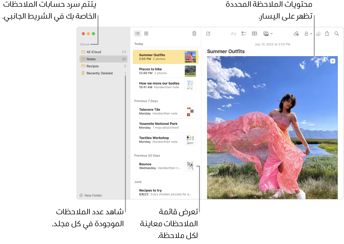 نافذة الملاحظات وبها كل حساباتك ومجلداتك المكوَّنة مدرجة في الشريط الجانبي على اليمين، وقائمة الملاحظات في المنتصف تعرض معاينة لكل ملاحظة، ومحتوى الملاحظة المحددة ظاهر على اليسار. يظهر عدد الملاحظات بجوار كل مجلد.