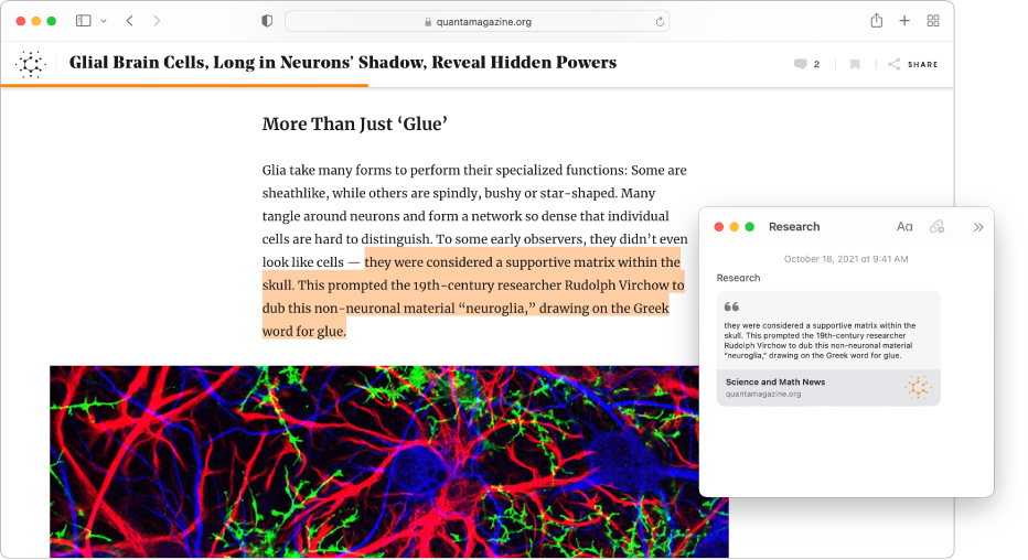 Una ventana de Safari con texto resaltado en un artículo de revista y una nota rápida llamada Investigación que incluye el texto y el enlace al artículo.
