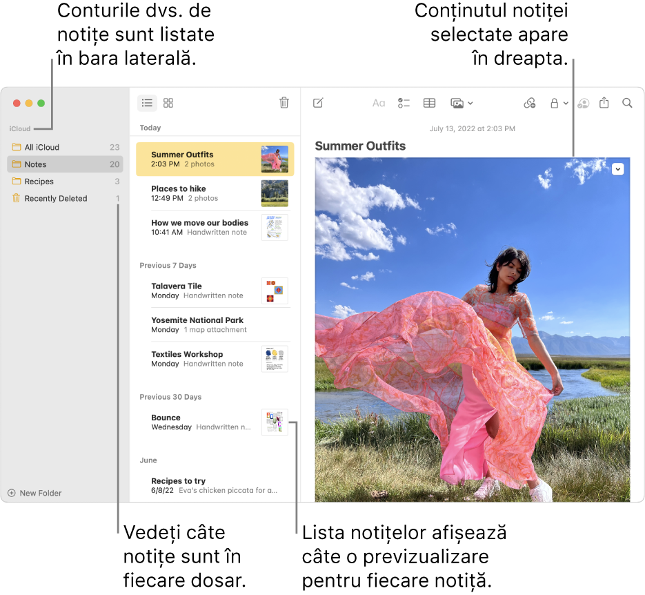 Fereastra Notițe cu toate conturile și dosarele dvs. configurate listate în bara laterală din stânga, lista de notițe pe mijloc, afișând o previzualizare a fiecărei notițe, și conținutul notiței selectate afișat în partea dreaptă. Numărul de notițe apare lângă fiecare dosar.