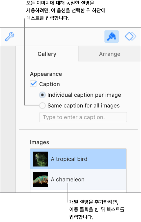 포맷 사이드바의 갤러리 탭. 설명 체크상자가 선택되어 있으며 각 이미지에 대해 개별 설명을 추가하거나 모든 이미지에 대해 동일한 설명을 추가하는 옵션이 있습니다. 제어기 아래에는 각 이미지의 축소판과 그 오른쪽에 이미지에 대한 설명이 있습니다.