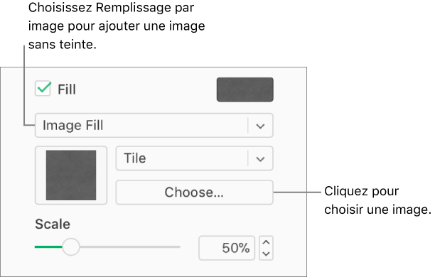 La case Remplissage est cochée dans la barre latérale et l’option Remplissage image est sélectionnée dans le menu contextuel situé sous la case à cocher. Les commandes permettant de choisir l’image, la façon dont elle remplit l’objet et l’échelle de l’image s’affichent sous le menu contextuel. Un aperçu de l’image apparaît dans un carré sous le menu contextuel Remplissage image, à partir du moment où vous avez choisi une image.