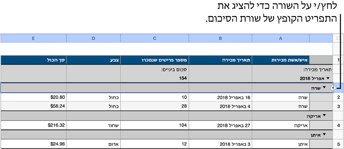 טבלה עם היררכיה בשתי רמות; השורה עבור הקטגוריה הנמוכה ביותר נבחרת וחץ למטה מופיעה בגבול שלה.