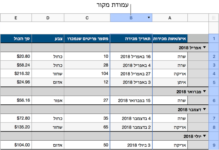 טבלה עם מכירות של חולצות המקובצות לפי תאריך מכירה.