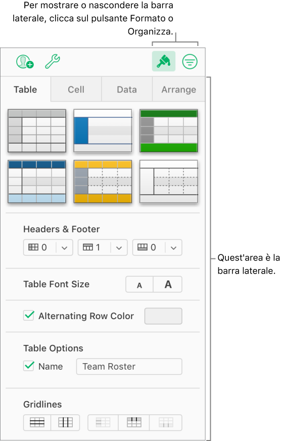 Il pulsante Formato è selezionato nella barra degli strumenti, stile e colore della tabella e altri controlli di formattazione compariranno nella barra laterale sulla destra del foglio di calcolo.  Il pulsante Organizza viene visualizzato a destra del pulsante Formato nella barra degli strumenti.