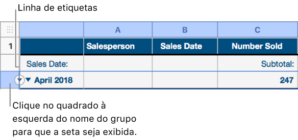 A linha de resumo está selecionada em uma tabela categorizada, e uma seta para baixo é exibida na borda dela; a linha de etiquetas acima da linha de resumo mostra o nome da categoria acima do nome do grupo, além do nome de uma função, Subtotal, na terceira coluna.