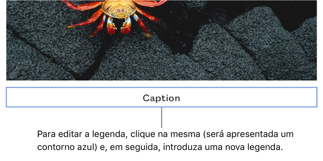 O marcador de posição de legenda, “Legenda”, é apresentado por baixo da fotografia; um contorno azul em redor do campo de legenda mostra que está selecionado.