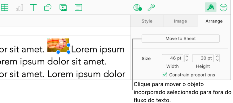Uma imagem incorporada numa caixa de texto está selecionada e o botão Mover para a folha está visível no separador Organizar na barra lateral.