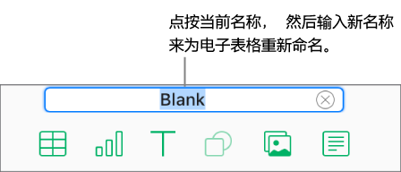 在一个打开的电子表格中，选中了位于顶部的电子表格名称“Blank”。