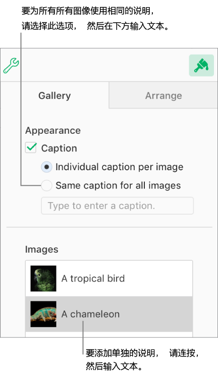 “格式”边栏中的“图库”标签。“说明”复选框已选中，还可以选择是为每张图像提供单独的说明，还是为所有图像提供相同的说明。控制项下方是每张图像的缩略图，右侧附上相应图像的说明。