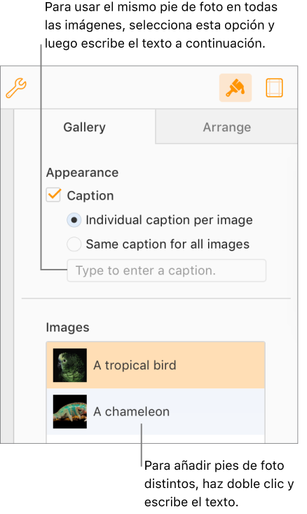 La pestaña Galería en la barra lateral Formato. La casilla “Pies de foto” está seleccionada y hay opciones para poner pies de foto individuales para cada imagen o el mismo pie de foto para todas las imágenes. Debajo de los controles hay miniaturas de cada imagen, con el pie de foto a la derecha.