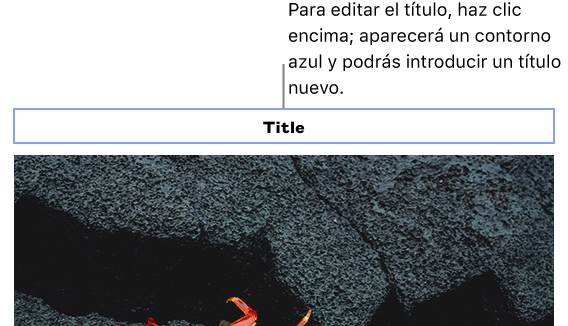 El título de marcador de posición, “Título”, aparece encima de una foto y un contorno azul alrededor del campo de título muestra que está seleccionado.