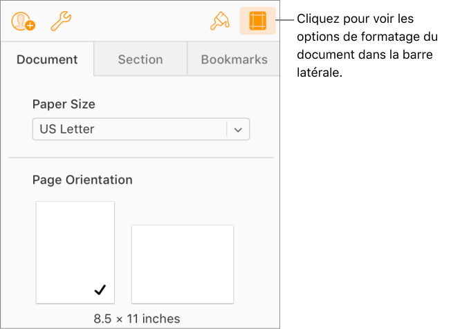 Bouton Document sélectionné dans la barre d’outils et commandes de changement de la taille du papier et de l’orientation de la page dans l’onglet Document de la barre latérale.