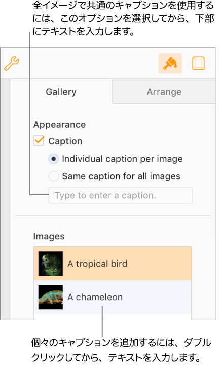 「フォーマット」サイドバーの「ギャラリー」タブ。「キャプション」チェックボックスが選択されており、「イメージごとのキャプション」と「全イメージで共通のキャプション」のオプションがあります。コントロールの下には、各イメージのサムネールが表示され、その右側にキャプションが表示されます。